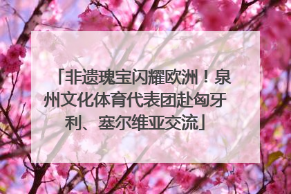 非遗瑰宝闪耀欧洲！泉州文化体育代表团赴匈牙利、塞尔维亚交流