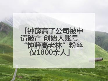 钟薛高子公司被申请破产 创始人账号“钟薛高老林”粉丝仅1800余人