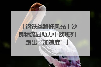 钢铁丝路好风光丨沙良物流园助力中欧班列跑出“加速度”