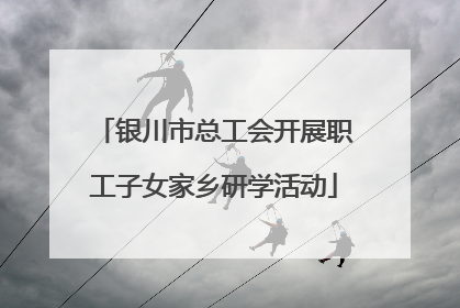 银川市总工会开展职工子女家乡研学活动