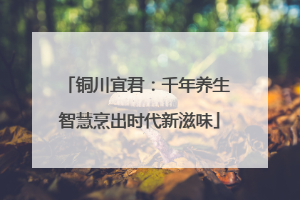 铜川宜君：千年养生智慧烹出时代新滋味