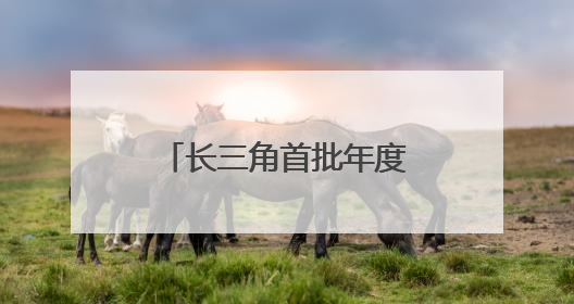 长三角首批年度一体化发展实事项目顺利完成