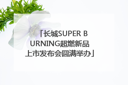 长城SUPER BURNING超燃新品上市发布会圆满举办