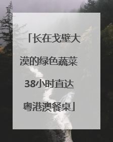 长在戈壁大漠的绿色蔬菜38小时直达粤港澳餐桌