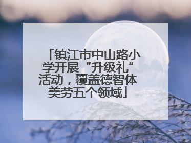 镇江市中山路小学开展“升级礼”活动，覆盖德智体美劳五个领域