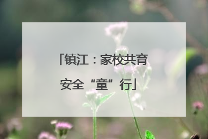 镇江：家校共育 安全“童”行