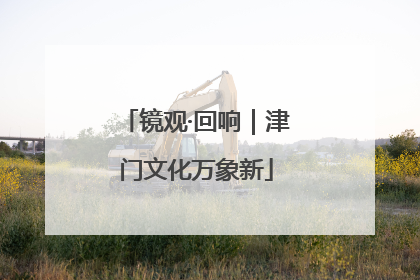 镜观·回响｜津门文化万象新