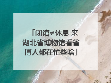 闭馆≠休息 来湖北省博物馆看省博人都在忙些啥