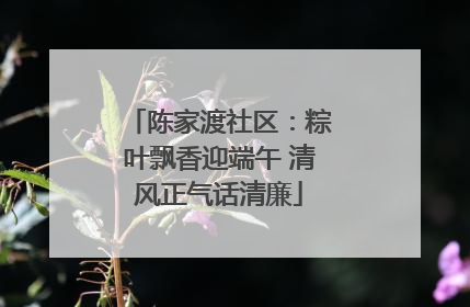 陈家渡社区：粽叶飘香迎端午 清风正气话清廉