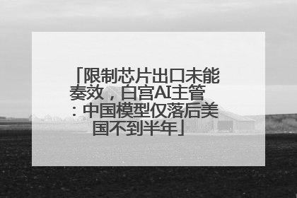 限制芯片出口未能奏效，白宫AI主管：中国模型仅落后美国不到半年