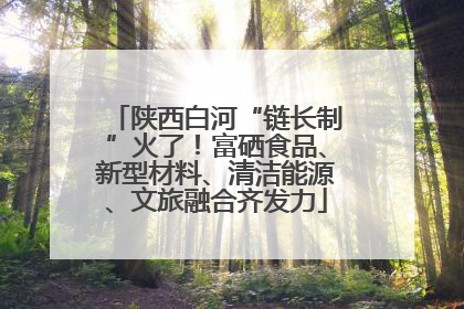 陕西白河“链长制”火了！富硒食品、新型材料、清洁能源、文旅融合齐发力