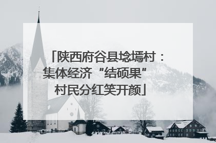 陕西府谷县埝墕村：集体经济“结硕果” 村民分红笑开颜