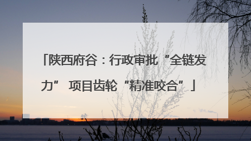 陕西府谷：行政审批“全链发力” 项目齿轮“精准咬合”