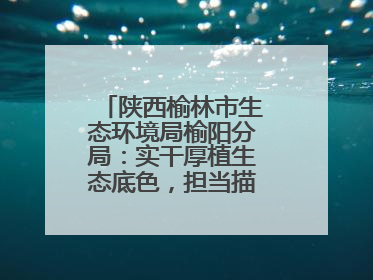 陕西榆林市生态环境局榆阳分局：实干厚植生态底色，担当描绘绿色答卷