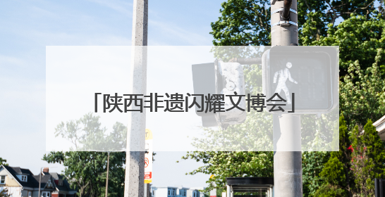 陕西非遗闪耀文博会