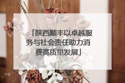 陕西顺丰以卓越服务与社会责任助力消费高质量发展