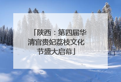 陕西：第四届华清宫贵妃荔枝文化节盛大启幕