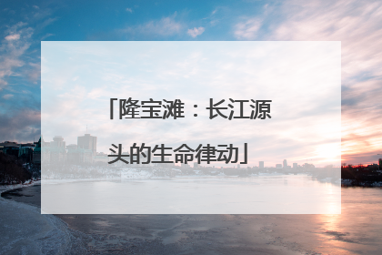 隆宝滩：长江源头的生命律动