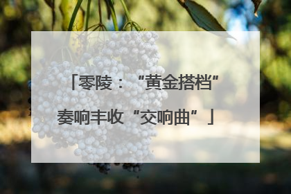 零陵：“黄金搭档”奏响丰收“交响曲”