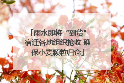 雨水即将“到货” 宿迁各地组织抢收 确保小麦颗粒归仓