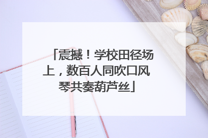 震撼！学校田径场上，数百人同吹口风琴共奏葫芦丝