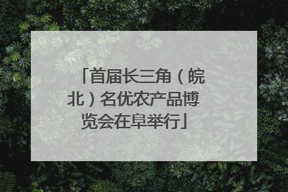 首届长三角（皖北）名优农产品博览会在阜举行