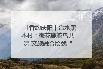 香约庆阳｜合水黑木村：梅花鹿鸵鸟共舞 文旅融合绘就“诗与远方”