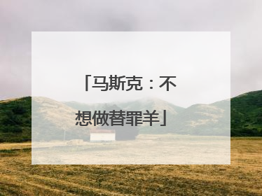 马斯克：不想做替罪羊