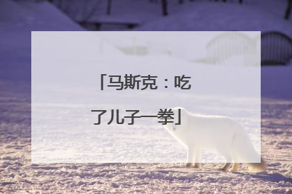 马斯克：吃了儿子一拳