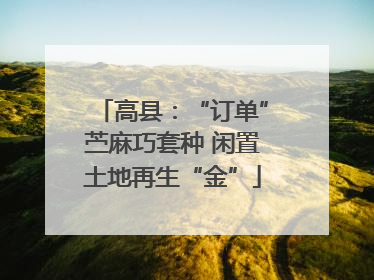 高县：“订单”苎麻巧套种 闲置土地再生“金”