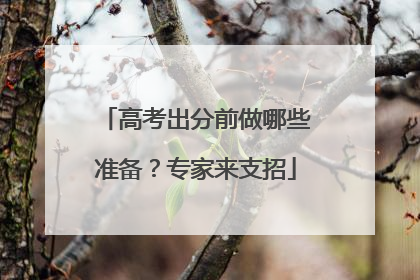高考出分前做哪些准备？专家来支招