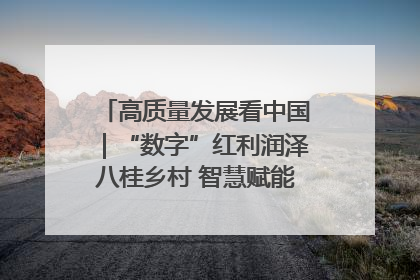 高质量发展看中国｜“数字”红利润泽八桂乡村 智慧赋能绘就振兴画卷