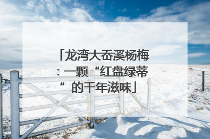龙湾大岙溪杨梅：一颗“红盘绿蒂”的千年滋味