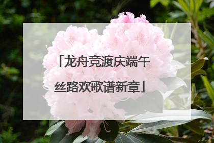 龙舟竞渡庆端午 丝路欢歌谱新章