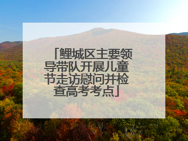 鲤城区主要领导带队开展儿童节走访慰问并检查高考考点