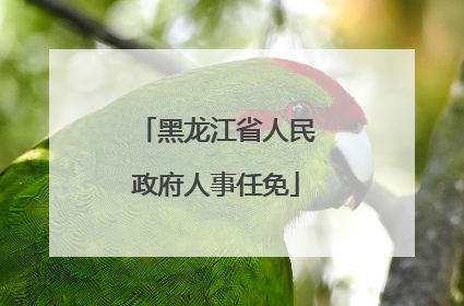 黑龙江省人民政府人事任免