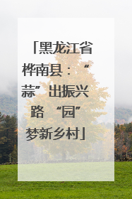 黑龙江省桦南县：“蒜”出振兴路 “园”梦新乡村