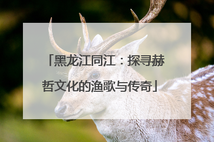 黑龙江同江：探寻赫哲文化的渔歌与传奇