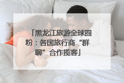 黑龙江旅游全球圈粉：各国旅行商“群聊”合作揽客