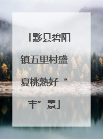 黟县碧阳镇五里村盛夏桃熟好“丰”景
