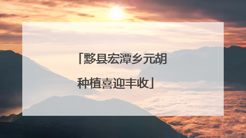 黟县宏潭乡元胡种植喜迎丰收