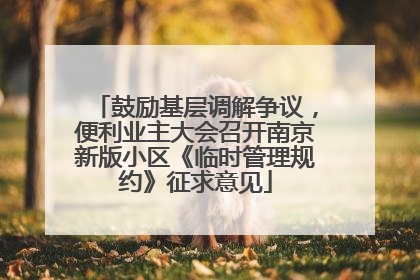 鼓励基层调解争议，便利业主大会召开南京新版小区《临时管理规约》征求意见