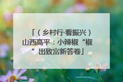 （乡村行·看振兴）山西高平：小辣椒“椒”出致富新答卷