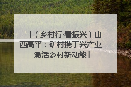 （乡村行·看振兴）山西高平：矿村携手兴产业 激活乡村新动能