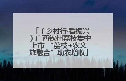 （乡村行·看振兴）广西钦州荔枝集中上市 “荔枝+农文旅融合”助农增收