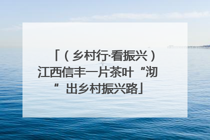 （乡村行·看振兴）江西信丰一片茶叶“沏”出乡村振兴路
