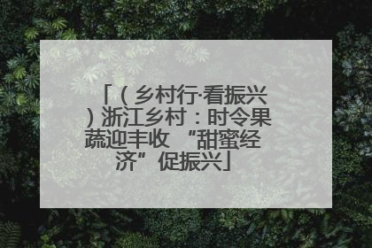 （乡村行·看振兴）浙江乡村：时令果蔬迎丰收 “甜蜜经济”促振兴