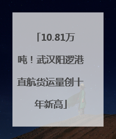 10.81万吨！武汉阳逻港直航货运量创十年新高