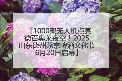 1000架无人机点亮德百奥莱夜空！2025山东德州燕京啤酒文化节6月20日启幕