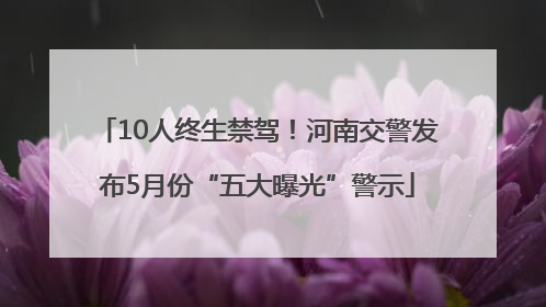 10人终生禁驾！河南交警发布5月份“五大曝光”警示